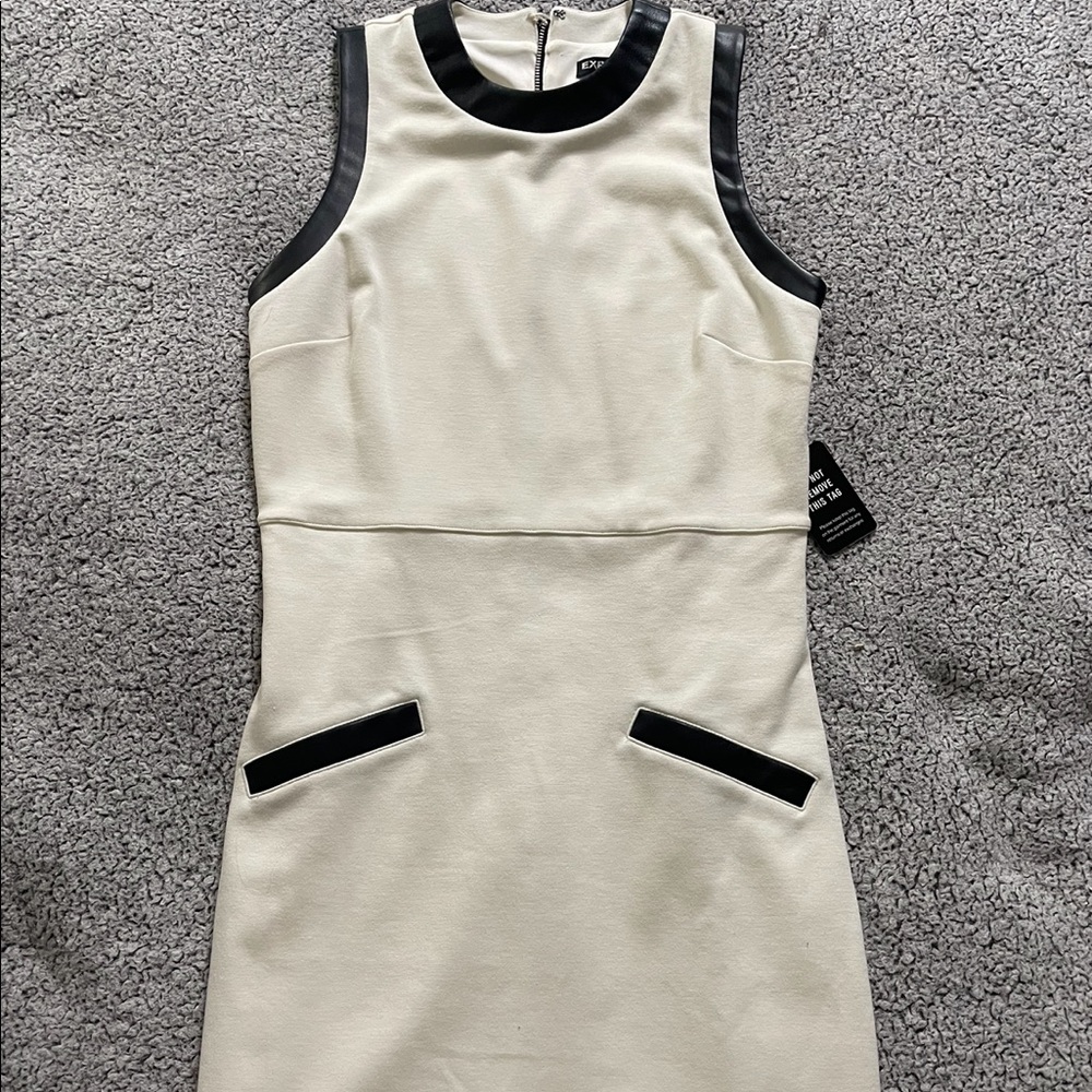 Express Mini Dress with Leather